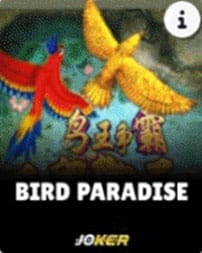Bird Paradise